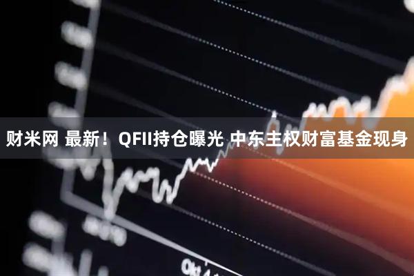 财米网 最新！QFII持仓曝光 中东主权财富基金现身